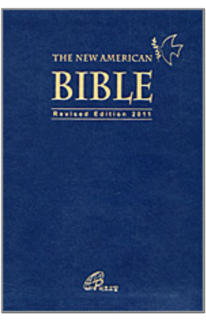 생활성서사 인터넷서점,THE NEW AMERICAN BIBLE(FSP) 대 / 바오로딸